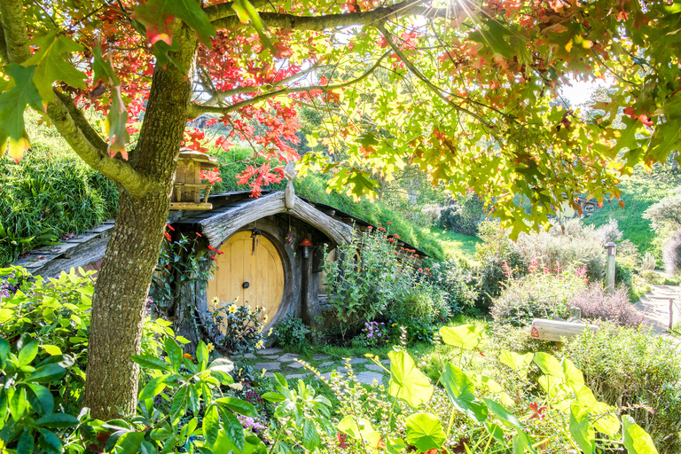 Auckland: Hobbiton filmsettour met lunch