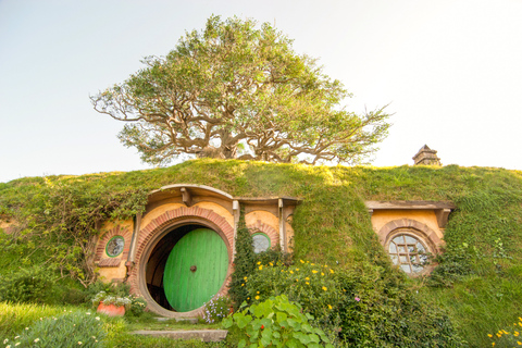 Depuis Auckland : visite de Hobbitebourg avec déjeuner