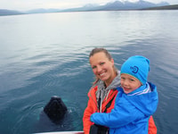 Árskógssandur, viaje en bote de ballenas - Housity