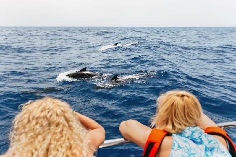 Tenerife: tour in catamarano con avvistamento balene