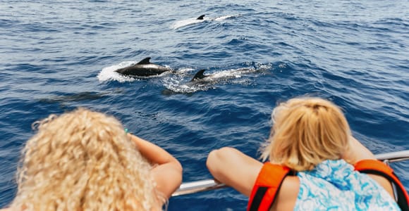 Costa Adeje: Whale Watching Catamaran Tour with Drinks