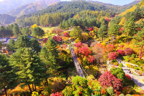 Seoul: Alpaca World, Railbike and opt Garden of Morning Calm Alpaca+Bike Shared Tour, Meet at Dongdaemun