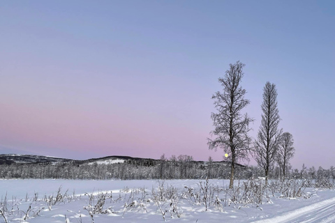 From Tromso: Eco Luxury Snowmobile Adventure to Lyngen Alps