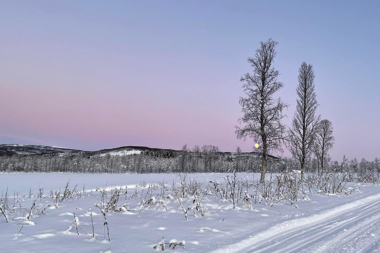 From Tromso: Eco Luxury Snowmobile Adventure to Lyngen Alps