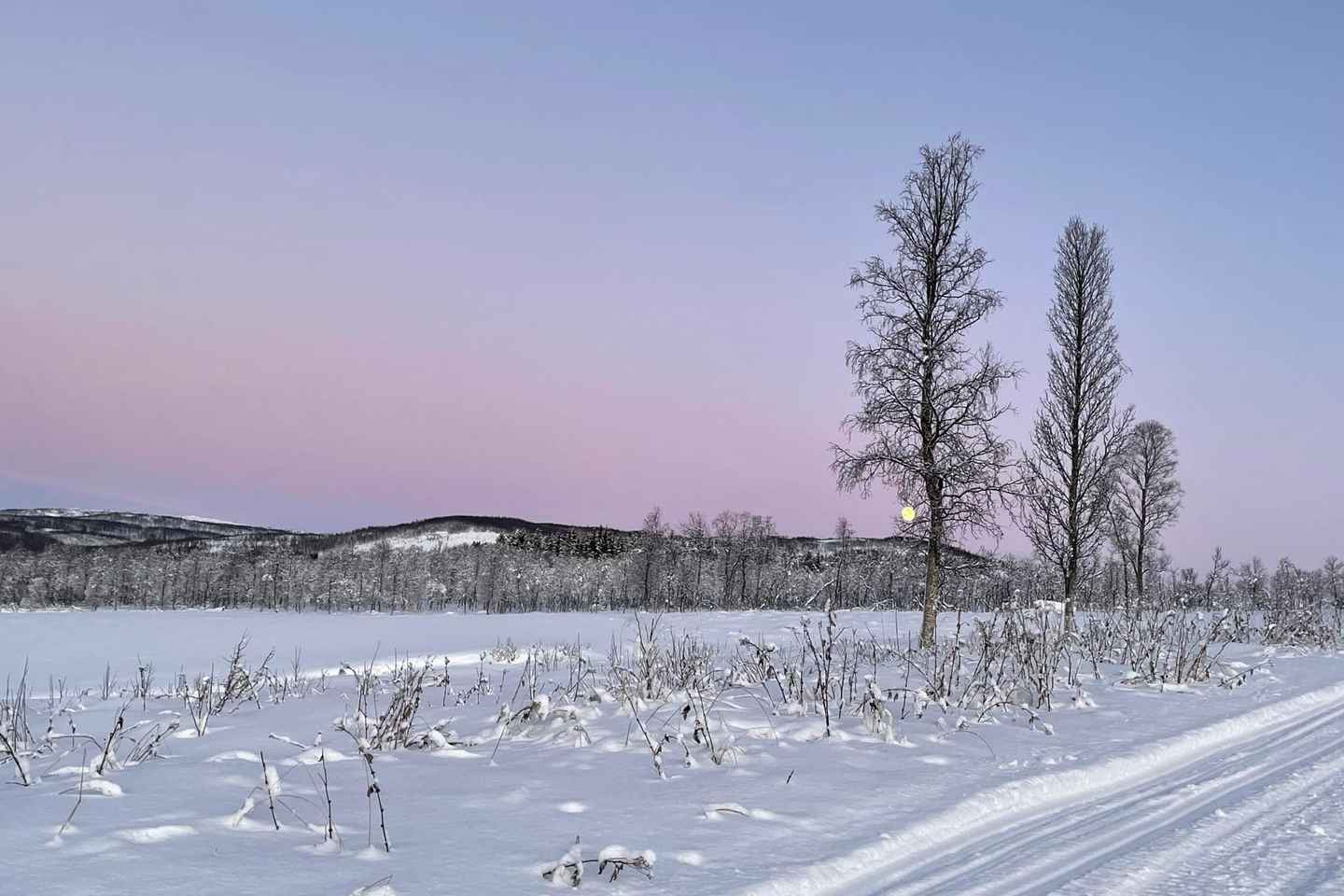 Tromso: Avventura in motoslitta di lusso nelle Alpi di Lyngen