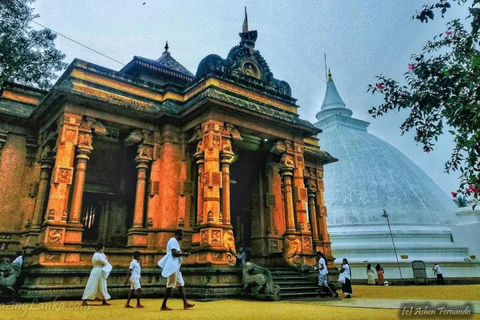 From Negombo: Colombo Private Guided City Tour with Transfer