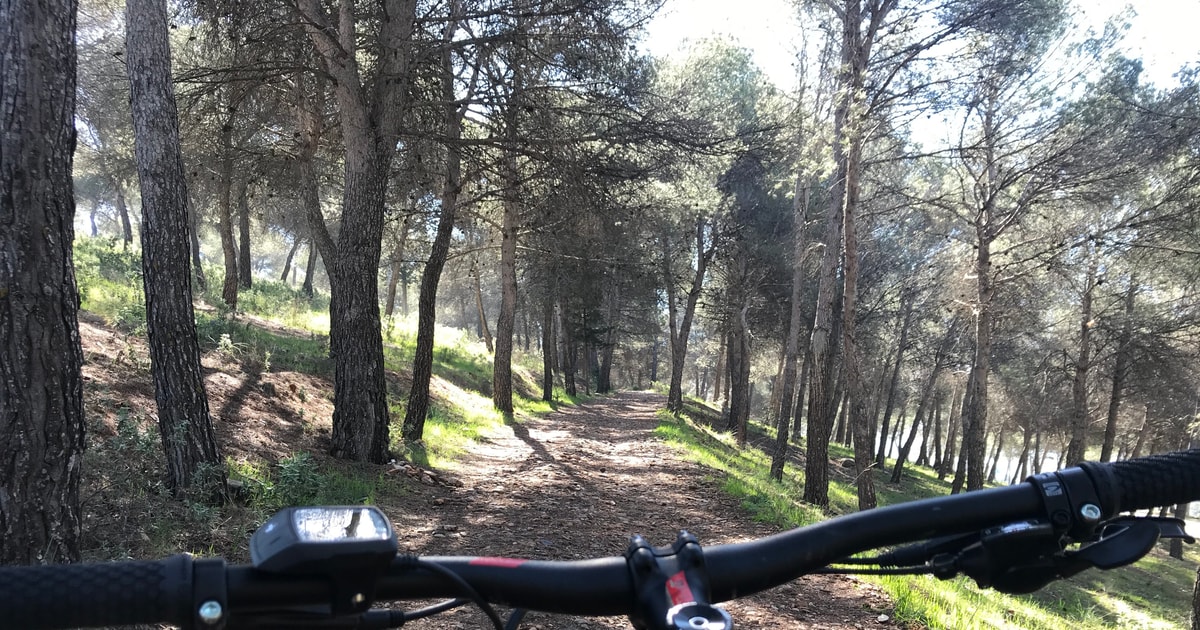 cycling 3 hours a day