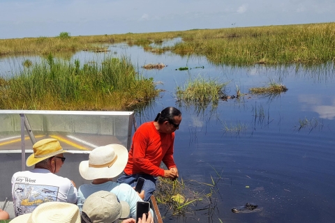 Floride : aventure en petit groupe dans les Everglades