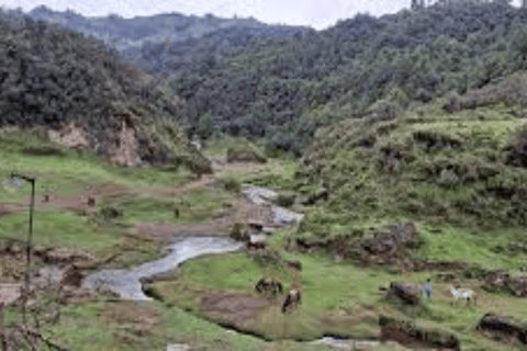 Full-Day Wenchi Crater Lake Tour from Addis Ababa