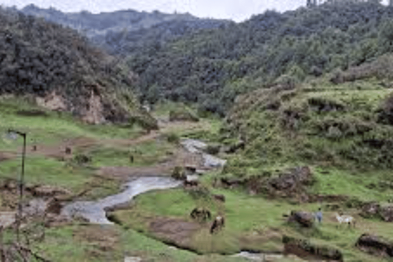 Full-Day Wenchi Crater Lake Tour from Addis Ababa