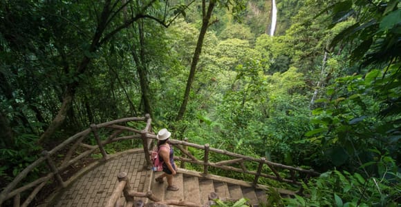 Arenal Hanging Bridges Park + La Fortuna Waterfall and Lunch