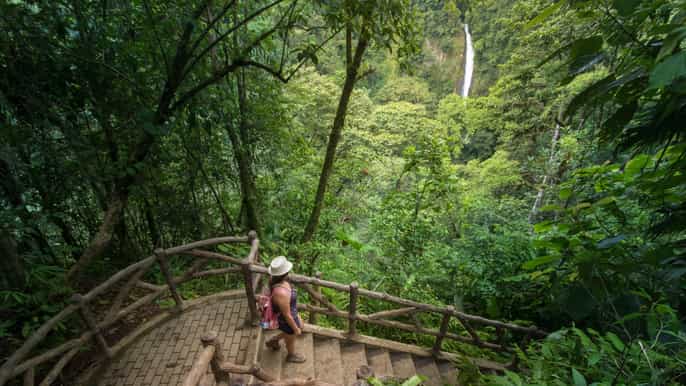 la fortuna mistico arenal hanging bridges park and lunch