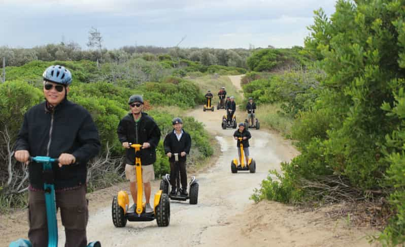 gold coast segway safari adventure