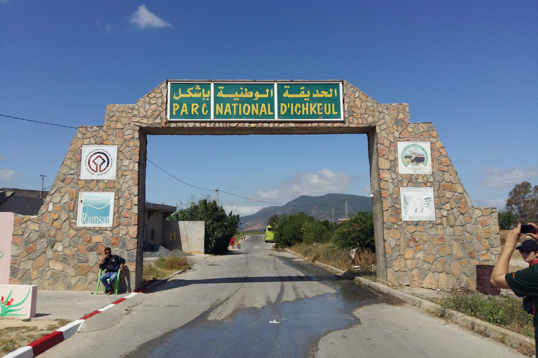 From Tunis: Utica, Ghar el-Melh, and Bizerte Day Trip