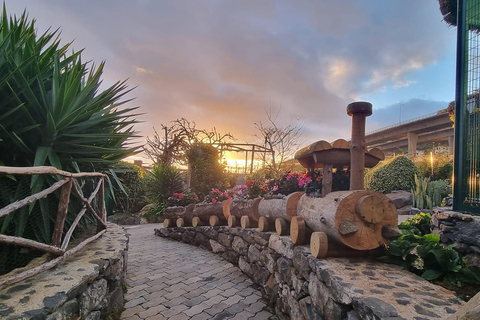 Visit to Madeira Bird Island