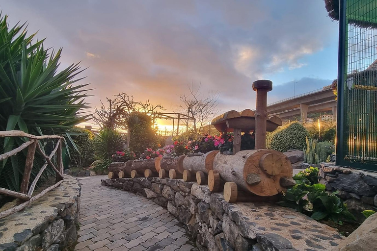 Visit to Madeira Bird Island
