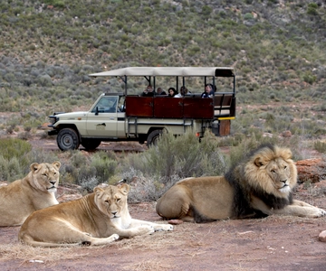 Aquila Game Reserve Day Entrance & Game Drive