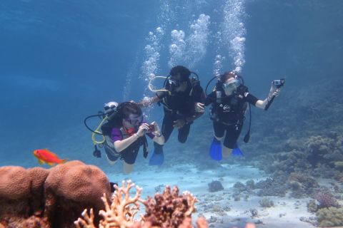 Half-Day Red Sea Dive from Hurghada or El Gouna
