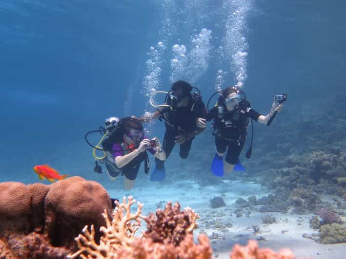 Mar Rosso: tour di mezza giornata da Hurghada o El Gouna
