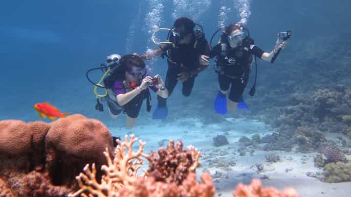 halfday red sea dive from hurghada or el gouna