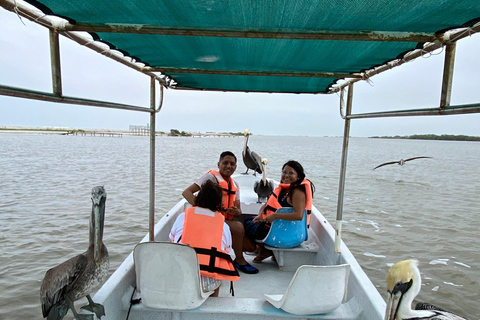 Natuurbelevenis Rio Lagartos en Las Coloradas.