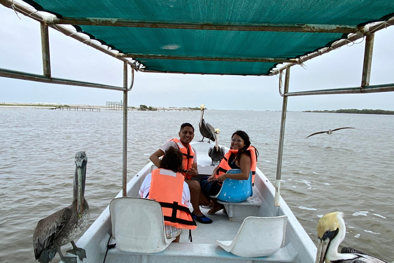 Natuurbelevenis Rio Lagartos en Las Coloradas.
