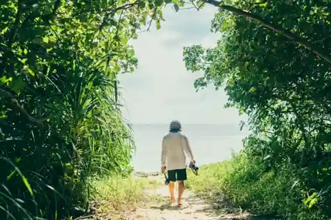 【Half day plan】 Iriomote Scenic Photo Tour with Local Guide