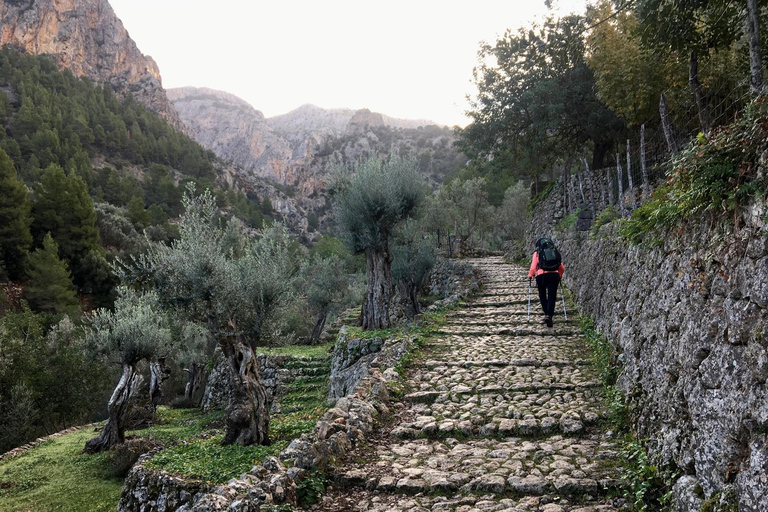 Mallorca: Shared Barranc de Biniaraix Gorge Hike Blue Peaks Mallorca - Shared Hiking - Barranc de Biniaraix