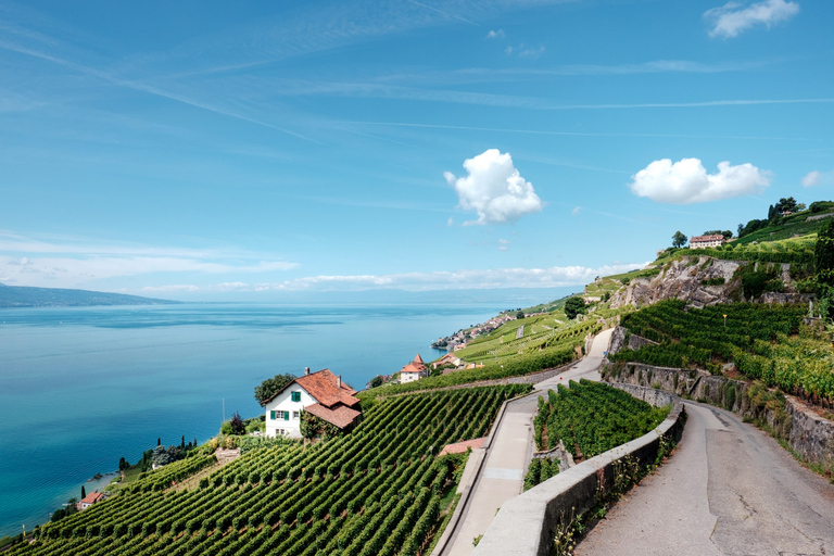 Swiss Riviera Private Tour