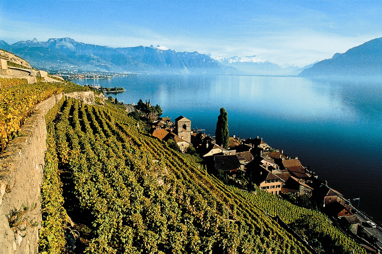 Swiss Riviera Private Tour