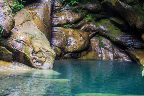 Embrace the Beauty of Alto Shambillo