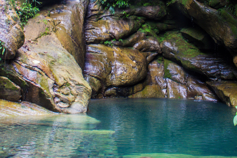 Embrace the Beauty of Alto Shambillo