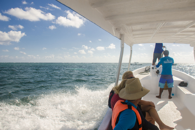 Puerto Morelos : snorkeling et déjeuner