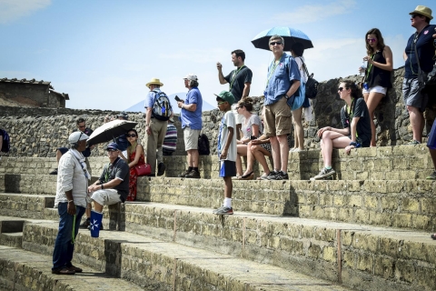 Pompéi : visite guidée à pied de la ville ensevelieAudio-guides italien, portugais, chinois, russe et japonais