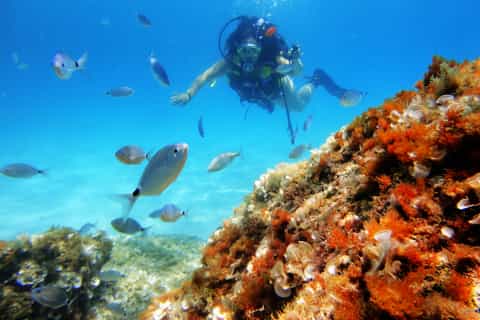 Mallorca: Try Scuba Diving in a Beautiful Nature Reserve