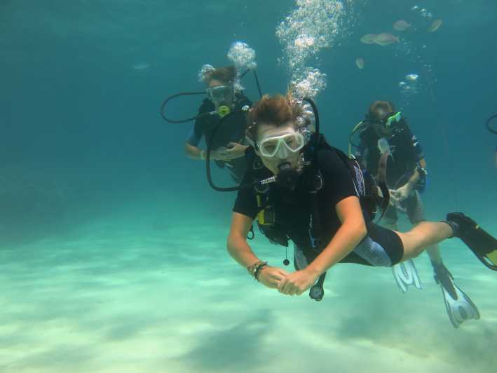 Mallorca: Try Scuba in a Reserve | GetYourGuide