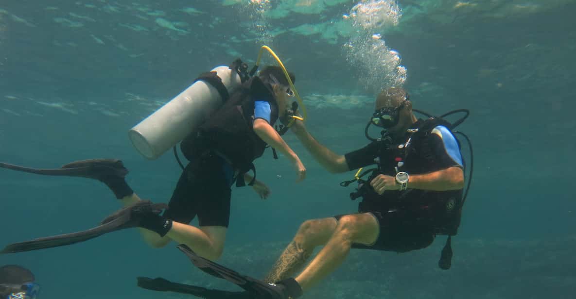 Afbeelding 3 van Mallorca: ontdek duiken voor beginners