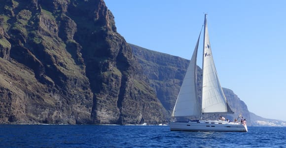 Tenerife: Los Gigantes Whale Watching Cruise by Sailboat