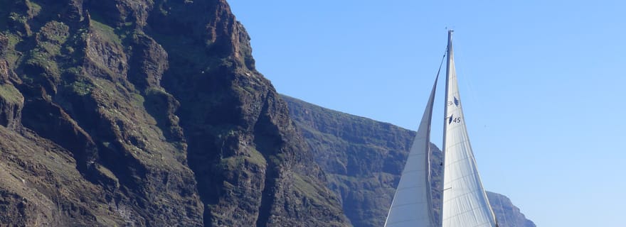 Tenerife : Croisière d'observation des baleines des Gigantes en bateau à voile