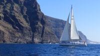 Tenerife, Los Gigantes Walbeobachtungs-Kreuzfahrt mit dem Segelboot - Hizvo
