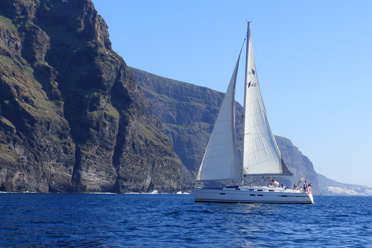 Los Gigantes: Whale Watching per Segelboot mit AbholungAktivität ohne Hotelabholung