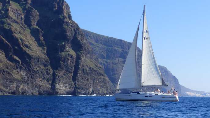 Tenerife: crucero y avistamiento de ballenas en Los Gigantes