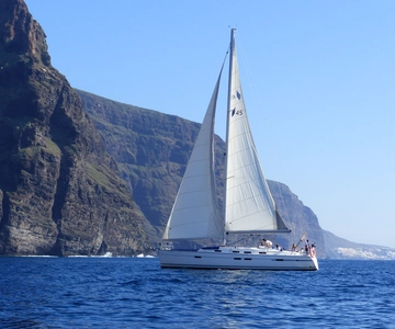 Tenerife: Los Gigantes Whale Watching Cruise by Sail Boat