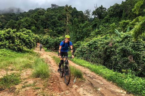 Koko päivän retkeily ja pyöräily Doi Suthepin vuoren kansallispuistossa