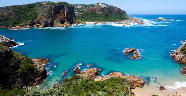 Garden Route Addo and Winelands 7 Day Combo from Cape Town GetYourGuide