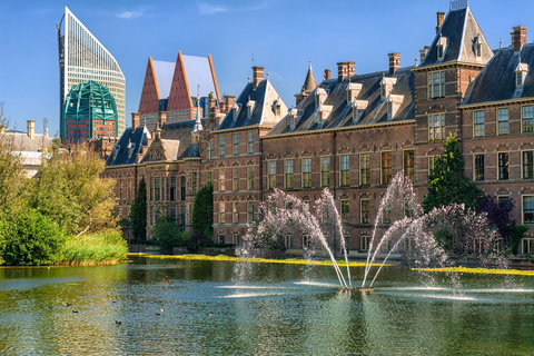 Från Amsterdam: Rotterdam och Haag Tour på spanska