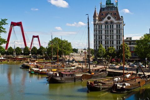 De Amsterdã: Excursão em Espanhol a Roterdã e Haia