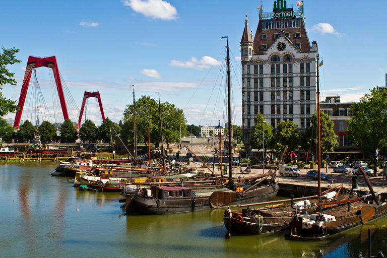 Z Amsterdamu: Rotterdam i Haga Tour w języku hiszpańskimPrywatna wycieczka