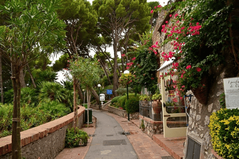 Ab Neapel: Capri-Tagestour mit 3-Gänge-Mittagessen