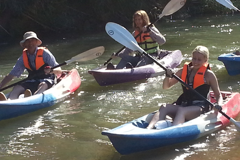 Depuis Chiang Mai : kayak en jungle et grottes de Chiang Dao